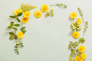 spring yellow flowers on paper background