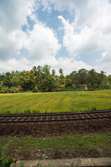 Obraz premium rail de chemin de fer devant un champ de riz vert et ciel bleu au Sri Lanka