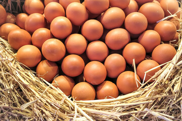 Wonderful arrangement of fresh brown chicken eggs in basket