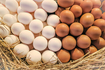 Wonderful arrangement of fresh white and brown chicken eggs in basket