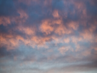 Fototapeta premium Light evening сumulus clouds in the sky. Colorful cloudy sky at sunset. Sky texture, abstract nature background
