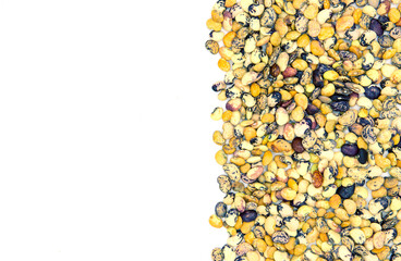 Multicolored bean scatter on white background. Healthy food banner template with text place. Kidney bean ornament