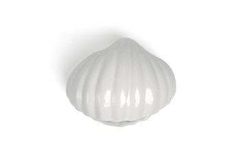 Decorative ceramic sea shells isolated on white background. 