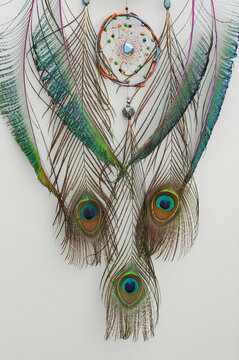 Native dream catcher with peacock feathers on gray background