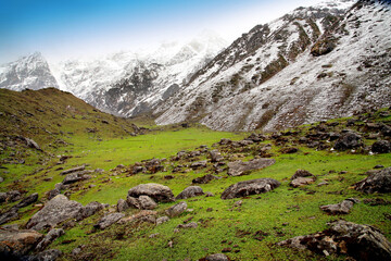 Fototapeta na wymiar Beautiful view of green meadows and mountains at way to kedarnath, uttarakhand, india.