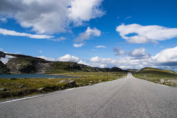 road in nordic landscape