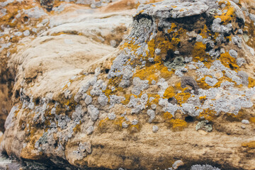 Stones texture and background. Rock texture with different color spots of lichen