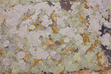 Stones texture and background. Rock texture with different color spots of lichen