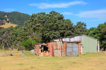 Fototapeta na wymiar Two metal farm sheds, one old, rusty and collapsing, standing side by side. Photographed on the Coromandel Peninsula, New Zealand