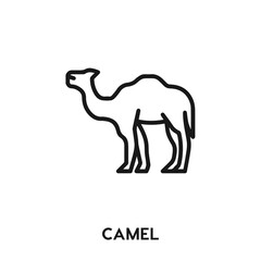 camel vector icon. animal sign symbol. Modern simple icon element for your design