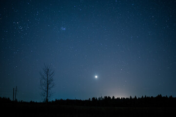 starry night over the forest