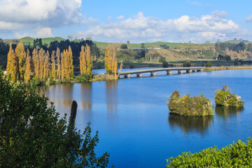 Fototapeta na wymiar Lake Karapiro, a man-made lake on the Waikato River, New Zealand, in autumn. A bridge crosses the lake beside a stand of poplar trees
