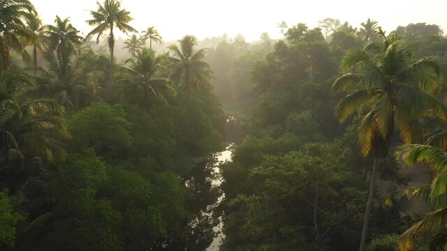 Sunrise In Kerala Backwaters In Alapuzha