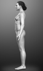 Fototapeta premium 3d rendered illustration of the female body