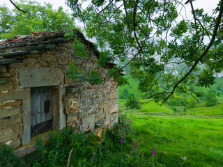 Spring landscape of mountains, meadows of mowing and cabins pasiegas in the Miera Valley, Cantabria, Spain, Europe