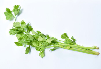 fresh Chinese celery with drop of water on white background