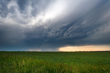 Fototapeta na wymiar The dark clouds asperatus over field