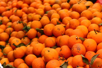 Oranges at the bazaar