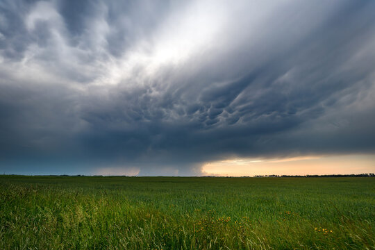 The dark clouds asperatus over field