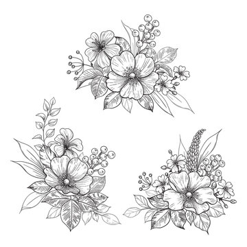 Hand drawn Flowers Bunches  Set