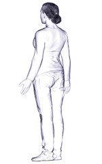 3d rendered illustration of the female body