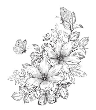 Hand Drawn Flowers and Butterflies