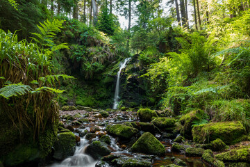 Water Falls at the Linn in Summer
