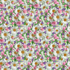 Background of daisies