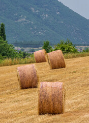 Hay bales on the field against the backdrop of mountains. France. Provence.