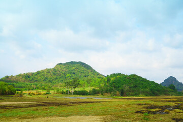 Obraz premium Farmers burned after harvesting, View of cassava plantations and rubber