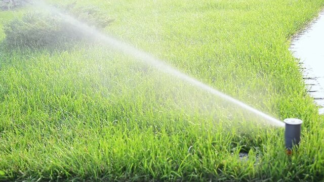 head of garden, yard, lawn, grass automatic irrigation watering system, close up full HD stock video footage in real-time