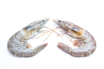 Fresh shrimp isolated on white background. This has clipping path.