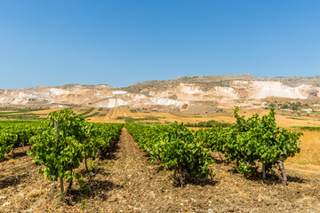 Vines and marble mines near the settlement of Scoppello, Sicily in the summertime
