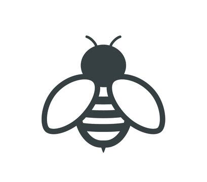 Bee icon.  Bee line design vector illustration.