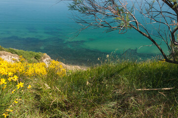 pesaro marche san bartolo park