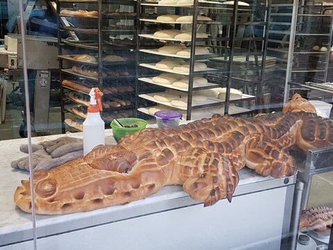 corocodile, krokodile, brot, bread, b&auml;ckerei, backer, SFO