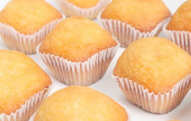 magdalenas blancas, dulces, filas de magdalenas, dulces madalenas, azúcar, dulces, repostería