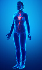Fototapeta na wymiar 3d rendered medically accurate illustration of Female heart