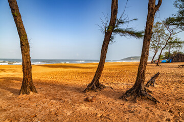 Beautiful calangute Beach of Goa, Famous tourist destination, Goa, India