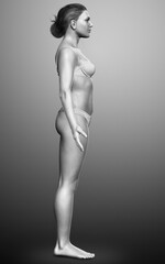 Naklejka premium 3d rendered illustration of the female body
