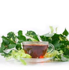 Linden tea in a transparent cup with linden buds and leaves isolated on a white background.
