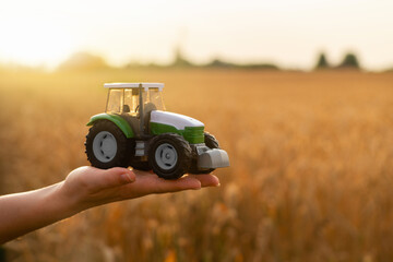 Woman farmer holds a toy tractor on a background of a wheat field. 