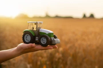 Foto op Canvas Woman farmer holds a toy tractor on a background of a wheat field.  © scharfsinn86
