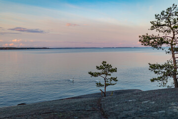 sunrise over the lake