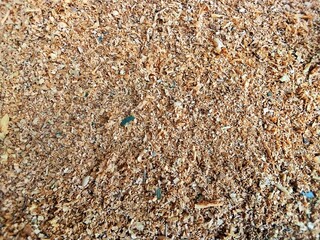 texture of wood waste residual wooden backup 