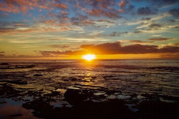 Obraz premium Surfing in Atlantic ocean in bright colorful sunset lights. Majestic colorful sunset on Atlantic ocean coast. Beautiful sunset on Tenerife island. Panoramic Scenic golden sunset view. Backgrounds. 
