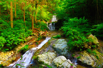 美しい森林/森林浴/癒し/マイナスイオン・Beautiful Forest