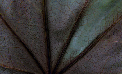 Close view of fabric and wood. Fabric backgrounds
O wood together.