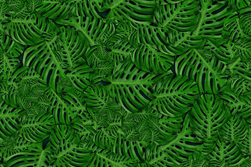 Naklejka na ściany i meble abstract tropical background rainforest leafs