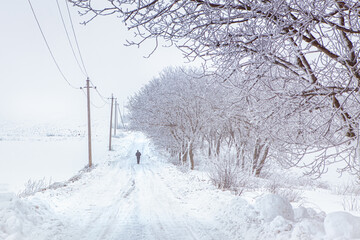 Man Walking at Snowy Road . Winter Scenery . Solitude 